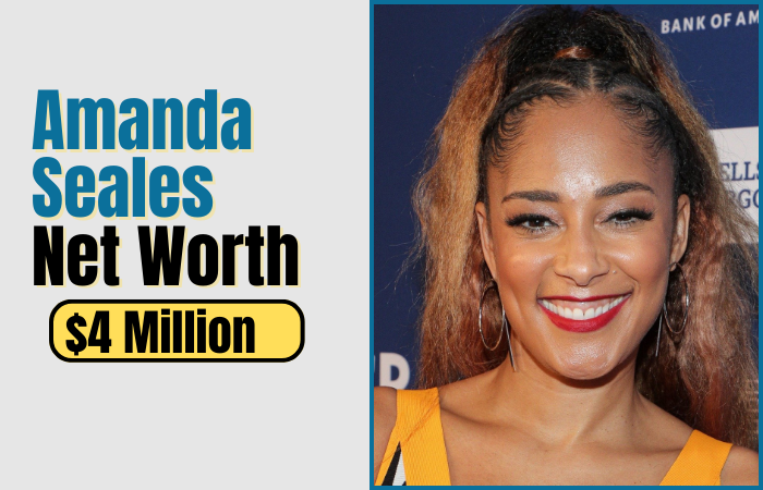 Amanda Seales Net worth